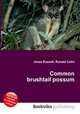 Common brushtail possum, Jesse Russell,Ronald Cohn 