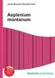 Asplenium montanum, Jesse Russell,Ronald Cohn 