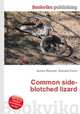 Common side-blotched lizard, Jesse Russell,Ronald Cohn 