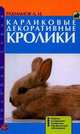 Карликовые декоративные кролики, Александр Рахманов 