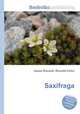 Saxifraga, Jesse Russell,Ronald Cohn 