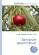 Santalum acuminatum, Jesse Russell,Ronald Cohn 