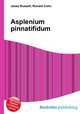 Asplenium pinnatifidum, Jesse Russell,Ronald Cohn 