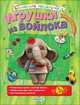 Игрушки из войлока. Своими руками. Для детей от 5 лет, Мичеева Надежда 