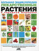 Большая энциклопедия. Лекарственные растения в народной медицине //Козина Е.М., Непокойчицкий Г.А. 