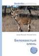 Белохвостый олень, Джесси Рассел 