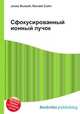 Сфокусированный ионный пучок, Джесси Рассел 