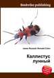 Каллистус лунный, Джесси Рассел 