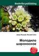 Молодило шароносное, Джесси Рассел 