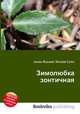 Зимолюбка зонтичная, Джесси Рассел 
