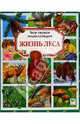 Жизнь леса, 