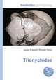 Trionychidae, Jesse Russell,Ronald Cohn 