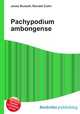 Pachypodium ambongense, Jesse Russell,Ronald Cohn 