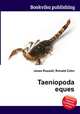 Taeniopoda eques, Jesse Russell,Ronald Cohn 
