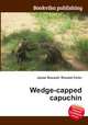 Wedge-capped capuchin, Jesse Russell,Ronald Cohn 