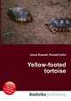 Yellow-footed tortoise, Jesse Russell,Ronald Cohn 