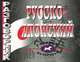 Русско -японский разговорник, Павлов И.В. 