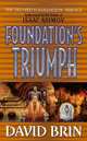 Foundation's Triumph, Brin David 