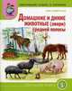 Мир животных. Домашние и дикие животные (звери) средней полосы. Тематический словарь в картинках. Для занятий с детьми дошкольного возраста, Шестернина Н.Л. 