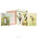 Flower Fairies: One Hundred Postcards, Cicely Mary Barker 