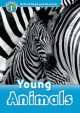 Oxford Read and Discover 1. Young Animals, Press Oxford University 