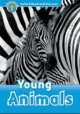 Oxford Read and Discover 1. Young Animals (+ CD), Press Oxford University 