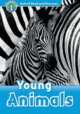 Oxford Read and Discover 1. Young Animals. Activity Book, Press Oxford University 