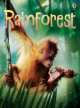 Rainforest, Lucy Beckett-Bowman 
