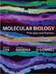 Molecular Biology. Prin and Practice, Michael Cox 