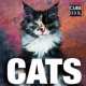 Cats, Caterina Gromis Di Trana 