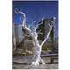 Sculpture Now, Anna Moszynska 