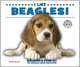 I Like Beagles! (Discover Dogs With the American Canine Association), Linda Bozzo 