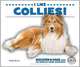 I Like Collies! (Discover Dogs With the American Canine Association), Linda Bozzo 