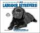 I Like Labrador Retrievers! (Discover Dogs With the American Canine Association), Linda Bozzo 