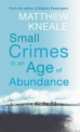 Small Crimes in an Age of Abundance, Kneale Matthew 