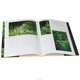 The Gardens of England: Treasures of the National Gardens Scheme, 
