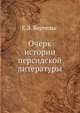 Очерк истории персидской литературы, Е. Э Бертельс 