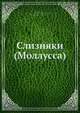 Слизняки (Моллусcа), Э. Мартенс 