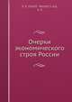 Очерки экономического строя России, Воронцов 