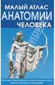 Малый атлас анатомии человека, Селезнева Т. В. 