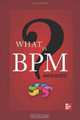 What Is BPM?, Marvin Wurtzel 