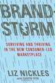 Brandstorm: Surviving and Thriving in the New Consumer-Led Marketplace, Liz Nickles, Savita Iyer 