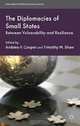 The Diplomacies of Small States: Between Vulnerability and Resilience (International Political Economy Series), 