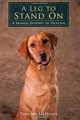 A Leg to Stand On: A Shared Journey of Healing, Timothy McHenry 