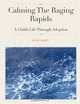 Calming The Raging Rapids: A Childs Story Through Adoption, Kyle Hunt 