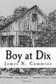 Boy at Dix: Mostly True Stories of a Boyhood in Southern Illinois, James Nelson Cummins 