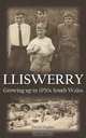 Lliswerry - Growing up in 1950s South Wales, David Hughes 