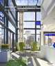 Shelton, Mindel & Associates: Architecture and Design, Joseph Giovannini 