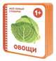 Мой первый словарик. Овощи (EVA), Краснушкина Е. 
