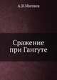 Сражение при Гангуте, А.В.Митяев 